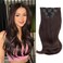ALXNAN Clip in Hair Extensions, Hair Extensions Thick Long Stright Layered Hair Extensions Dark Brown 16 Inch Soft Lace Weft Hair Extensions for Women