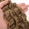 Ocean Wave Crochet Hair Extensions, Curly Braiding Crochet Hair, Soft Synthetic Crochet Hair Extensions 22inch 6Packs #T8/24 Brown mix Blonde