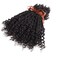Human Hair Dreadlocks Extensions Freego Curly In the End 0.6cm Thickness Goddess Dreadlocks(12Inch 0.6cm 20locs, Nstural black)