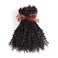 Human Hair Dreadlocks Extensions Freego Curly In the End 0.6cm Thickness Goddess Dreadlocks(12Inch 0.6cm 20locs, Nstural black)