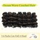 Ocean Wave Crochet Hair 9inch Curly Crochet Hair 7Packs Curly Braiding Hair for Black Women Black Mix Brown Deep Wave Crochet Hair Extensions P1B/30