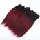 FQ 1b/99j Ombre Bundles with Closure(10 10 10+10) Brazilian Straight Bundles Human Hair Red Burgundy Short Bob Human Hair 3 Bundles with 4x4 Lace Closure 50g/bundle