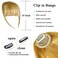 Clip in Bangs 100% Real Human Hair Bangs Clip in Hair Extensions Clip on Wispy Bangs for Women Fringe Bangs Hair Pieces for Daily Wear(Honey Blonde)