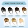 Clip in Bangs 100% Real Human Hair Bangs Clip in Hair Extensions Clip on Wispy Bangs for Women Fringe Bangs Hair Pieces for Daily Wear(Honey Blonde)
