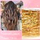 Hair Tinsel Kit with Tools 48 Inch 1200 Strands Gold Tinsel Hair Extensions Fairy Hair Tinsel Kit Heat Resistant Glitter Hair Extensions Tensile Hair Accessories for Girls Women (Gold)