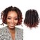 Passion Twist Hair 6 Inch Short Pre looped Crochet Braids Pre Twisted Crochet Twist 8 Packs (T350/Ombre Ginger Red)