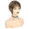 TISHINING Pixie Cut Brown Short Hair Wigs for White Women with Bangs Brown Mixed Blonde Highlights Layered Natural Looking Synthetic Hair Replacement Wigs for Daily Party Use