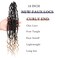 BOHOBABE Faux Locs Crochet Hair 18 Inch, Boho Soft Crochet Locs with Curly Ends, Long Bohemian Goddess Locs Crochet Braids for Black Women (6 Packs, T27)