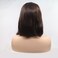 xiweiya Wigs 14" Inches Straight Short Bob Wig Dark Brown Hair Synthetic Lace Front Wig Black Brown Color with Middle Part Heat Resistant Fiber Hair for Women,Drag Queen Family Makeup Party Wear