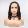xiweiya Wigs 14" Inches Straight Short Bob Wig Dark Brown Hair Synthetic Lace Front Wig Black Brown Color with Middle Part Heat Resistant Fiber Hair for Women,Drag Queen Family Makeup Party Wear