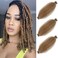 Light Brown Afro Twist Hair 12 Inch Marley Braids Hair Afro Kinky Curly Hair Extensions Wrapping Hair for Soft Locs (12 Inch (Pack of 3), 27#)