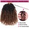 Unionbeauty 10 Inch Pre-twisted Yanky Twists Crochet Braids Hair 8PCS Pre-looped Ombre Brown Senegalese Twist Micro Passion Twist Crcochet Hair with Curls Synthetic Crochet Hair Extensions 1B/30#