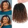 Unionbeauty 10 Inch Pre-twisted Yanky Twists Crochet Braids Hair 8PCS Pre-looped Ombre Brown Senegalese Twist Micro Passion Twist Crcochet Hair with Curls Synthetic Crochet Hair Extensions 1B/30#