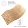 Tinashe Wire Hair Extensions Real Human Hair Dark Blonde 14inch 80g Straight Hair Extensions Invisible Wire Fish Line Hair Extensions Straight Real Human Hair Hair Extension