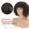LONAI Short Curly Wig with Bangs for Women Brown Wigs with Bangs WIG006 Curly Synthetic Wig for Daily Use Party Cosplay-Black Brown mixed Blonde