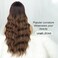 AISI QUEENS Ombre Brown Wig with Bangs Long Wavy Brown Wigs with Dark Root Ombre Synthetic Heat Resistant Wigs for Women Daily Party Wear