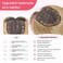 HOOJIH Hair Topper for Women with Thinning Hair 6.5x6.5 Inch Large Base Hair Topper with Bangs Handmade Invisiable Lace Front Hair Topper Wig Hair Pieces for Women - Dark Brown With Blonde Highlights