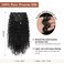 Clip in Hair Extensions, FLUFYMOOZ 4PC 100％ Pure Protein Silk Hair Extensions Long Soft Natural Hairpiece 20 Inch Curly Hair Extension for Women (Black)