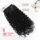 LONAI 4PC Clip in Hair Extensions, 100％ Pure Protein Silk Curly Hair Extension for Women, 26 Inch Long Soft Natural Hair Extensions-Natural Black