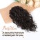 Flufymooz Ponytail Extension, 12" Short Claw Ponytail Extension Wavy Curly Jaw Clip in Pony tails Hair Extension Natural Synthetic Hairpiece for Women (Dark Chocolate Brown)