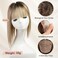 starluck Hair Toppers for Women with Bangs, 5"*5.5"Large Coverage Ombre Light Brown with Blond Highlight 100% Real Human Hair Toppers for Women with Thinning Hair,Cover Gray Hair Roots