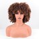Synthetic Wig Short Curly Ombre Brown Afro Wig Kinky Curly Hair Wig 10 Inches 230g/Piece Afro Wigs Soft and Fluffy Like a Bomb Daily Use (Ombre Brown)