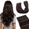 Hairro 100% Human Hair Clip in Extensions 12 Inch 40g One-piece 5 Clips Long Straight Clip on Hairpiece Half Head for Women Wide Standard Weft Soft Silky #2 Dark Brown
