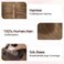 Hair Topper for Women 100% Human Hair Hair Topper with No Bangs Hair Pieces for Women with Thinning Hair 12 Inch #06 Dark Linen