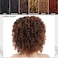 XIUFAXIRUSI XIUFAXIRUSI Short Ombre Brown Curly Afro Wigs for Black Women Short Kinky Curly Wig Natural Looking Synthetic Full Hair Wig