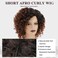 XIUFAXIRUSI XIUFAXIRUSI Short Ombre Brown Curly Afro Wigs for Black Women Short Kinky Curly Wig Natural Looking Synthetic Full Hair Wig