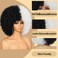 Afro Wigs for Black Women 70s Afro Curly Wigs Soft Natural Looking Fluff and Bouncy Black and white Afro Wigs Synthetic Hair Big Afro Wig for Daily Party Cosplay Costume(Black and white)