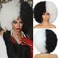 Afro Wigs for Black Women 70s Afro Curly Wigs Soft Natural Looking Fluff and Bouncy Black and white Afro Wigs Synthetic Hair Big Afro Wig for Daily Party Cosplay Costume(Black and white)