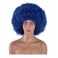 Rbenxia 14 Inch Short Afro Wig for Black Women 70s Afro Kinky Curly Wig Synthetic Costume Wigs Anime Fashion Halloween Cosplay Daily Party (Blue)