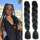 Braiding Hair Extensions 24 Inch, Kanekalon Jumbo Braid, High Temperature Synthetic Fiber Hair Extensions for Box Braids Braiding Hair (2 PCS/Lot, Black Color)