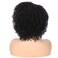 Quantum Love Short Kinky Curly Wigs Side Part Afro Curly Wig for Black Women Twist Out African American Synthetic Wigs (Black 6 Inches)