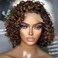 Short Bob Curly Human Hair Highlight Wigs Pre Plucked 13X4 HD Lace Front Wigs Brazilian Hair Pixie Cut Curly Glueless Wigs For Black Woman 150% Density #1B/27 Short Deep Wave Wig 10Inch