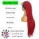 30 Inch Fashion Wigs Red Box Braids Crochet Hair Extensions With Wavy Curly Ends Beautiful Long Synthetic Wig Full Double Lace Braid Wig with Baby Hair