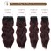 REECHO Hair Extensions, 4PCS Clip in Hair Extensions HE001 Natural Soft Synthetic Hairpieces for Women, Black to Burgundy Ombre