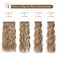 REECHO Hair Extensions, 4PCS Clip in Hair Extensions HE001 Natural Soft Synthetic Hairpieces for Women (20 Inch-200 Gram (Pack of 4), Dark Blonde with Light Blonde Highlights)