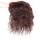 RememHi Hair Toppers For Women Reddish Brown 10 inch Wavy Curly Hair Topper Clip In Human Hair Wiglets Hair Pieces For Women