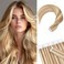 Rich Choices Tape in Hair Extensions Human Hair 20pcs 30g Balayage Golden Brown Highlighted Bleach Blonde 100% Remy Hair Extensions Real Human Hair Seamless Straight Tape in Hair of 20 inch #12P613