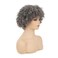 Sallcks Short Grey Kinky Afro Wig for Black Women Natural Synthetic Curly Cosplay Costume Wigs with Wig Cap