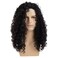 Sallcks Men Wigs Long Black Curly Wig Natural Curly Black Cosplay Costume Halloween Synthetic Hair Wig for Men