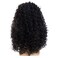Sallcks Men Wigs Long Black Curly Wig Natural Curly Black Cosplay Costume Halloween Synthetic Hair Wig for Men