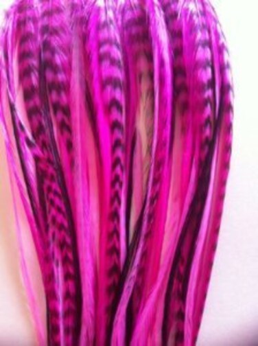 Feather Hair Extension &ndash; Hot Pink and Black Genuine Rooster Feathers, all bonded together, ranging from 8 to 10 inches in length, with a total of five feathers