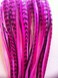 Feather Hair Extension &ndash; Hot Pink and Black Genuine Rooster Feathers, all bonded together, ranging from 8 to 10 inches in length, with a total of five feathers