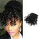 Shinon Kinky Curly Bangs Human Hair Clip in Bangs Hair Extension Real 12 A Curly Hair Bangs Clip for fashion black Women