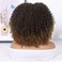 WIGER Short Bob Lace Front Wigs Middle Part Wigs Pre Plucked Curly T Part Wigs Ombre Brown Afro Kinky Curly Wigs Synthetic Curly Wig for Black Women