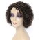 HUA Wigs for Black Women 8 Inch Short Curly Wigs Brazilian Human Hair Curly Wigs Kinky Curly Wigs (1B/30)