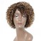 HUA Short Curly Human Hair Wigs for Black Women P4/27/30 Short Curly Wigs for African American Glueless Human Hair Wigs